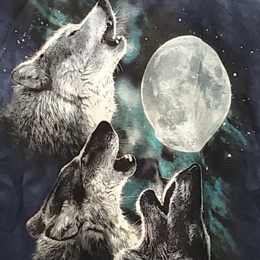 Wolves moonstruck Tee - Picture 2 of 3